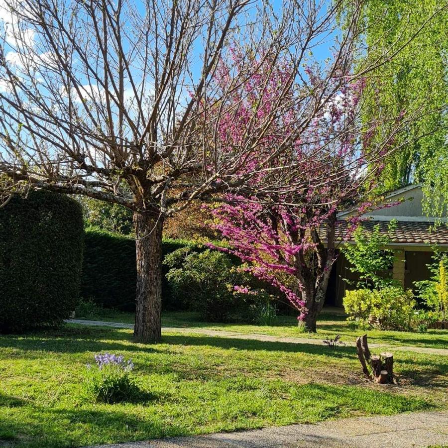 Les Cedres Bleus Bed & Breakfast Saint-Medard-de-Mussidan Luaran gambar