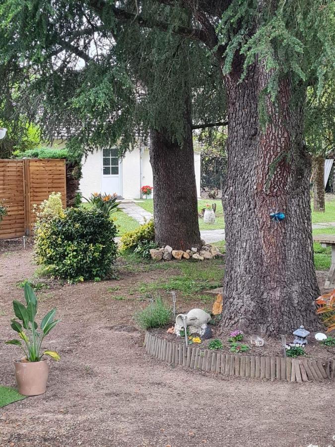 Les Cedres Bleus Bed & Breakfast Saint-Medard-de-Mussidan Luaran gambar